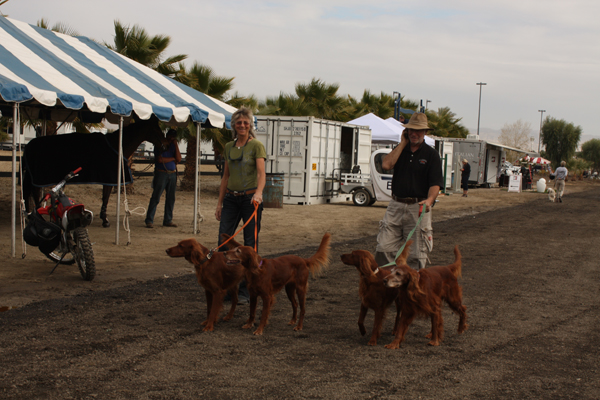 Daily Dog - HITS Desert Circuit, DC I