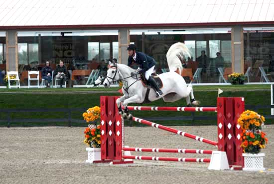 Caruschka's tail flies like a flag in the wind as she carries Eduardo Menezes over a jump.