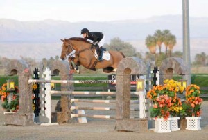 Ashlee Bond and Cadett 7 clear a massive oxer.