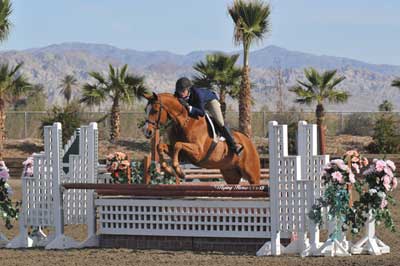 Hope Glynn and the chestnut hunter Balios Z on course at the HITS Desert Circuit.