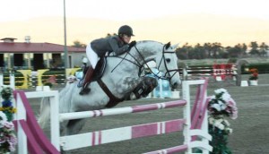 Meredith Michaels-Beerbaum and her grey gelding Malou clear a pink striped jump.