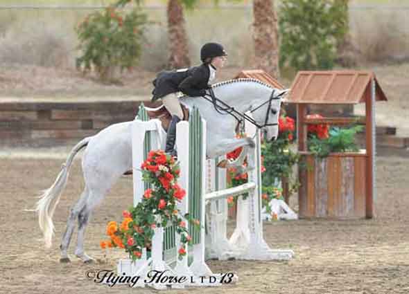 Lexie Looker and her grey pony Center Field float over a hunter jump.