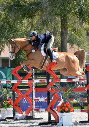 Tracy Fenney and MTM Timon clear a huge red and blue jump on course at HITS.