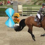 Meredith MIchaels-Beerbaum and Cantano gallop after their winning round.