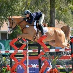 Tracy Fenney and MTM Timon clear a huge red and blue jump on course at HITS.